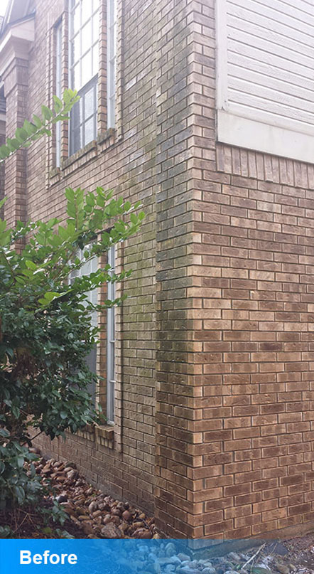 Before Power Washing