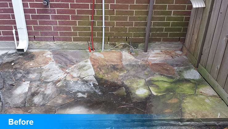 Before Power Washing