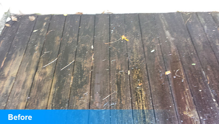 Before Power Washing
